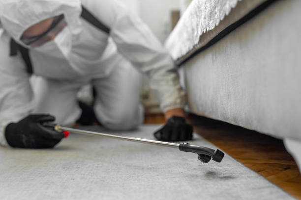 Professional Cockroach Control technician working in Apex, NC