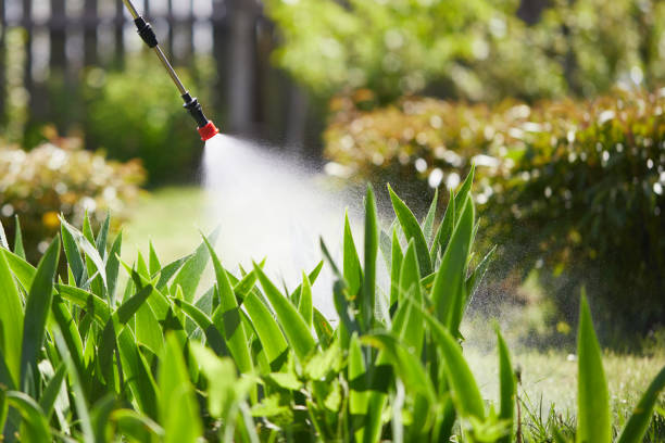 24/7 Emergency Cockroach Control experts in Apex, NC
