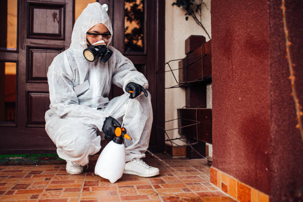 Reliable Cockroach Control contractor in Apex, NC by Nex Pest Control